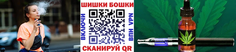Купить закладки  Мичуринск  Шишки марихуана AK-47 